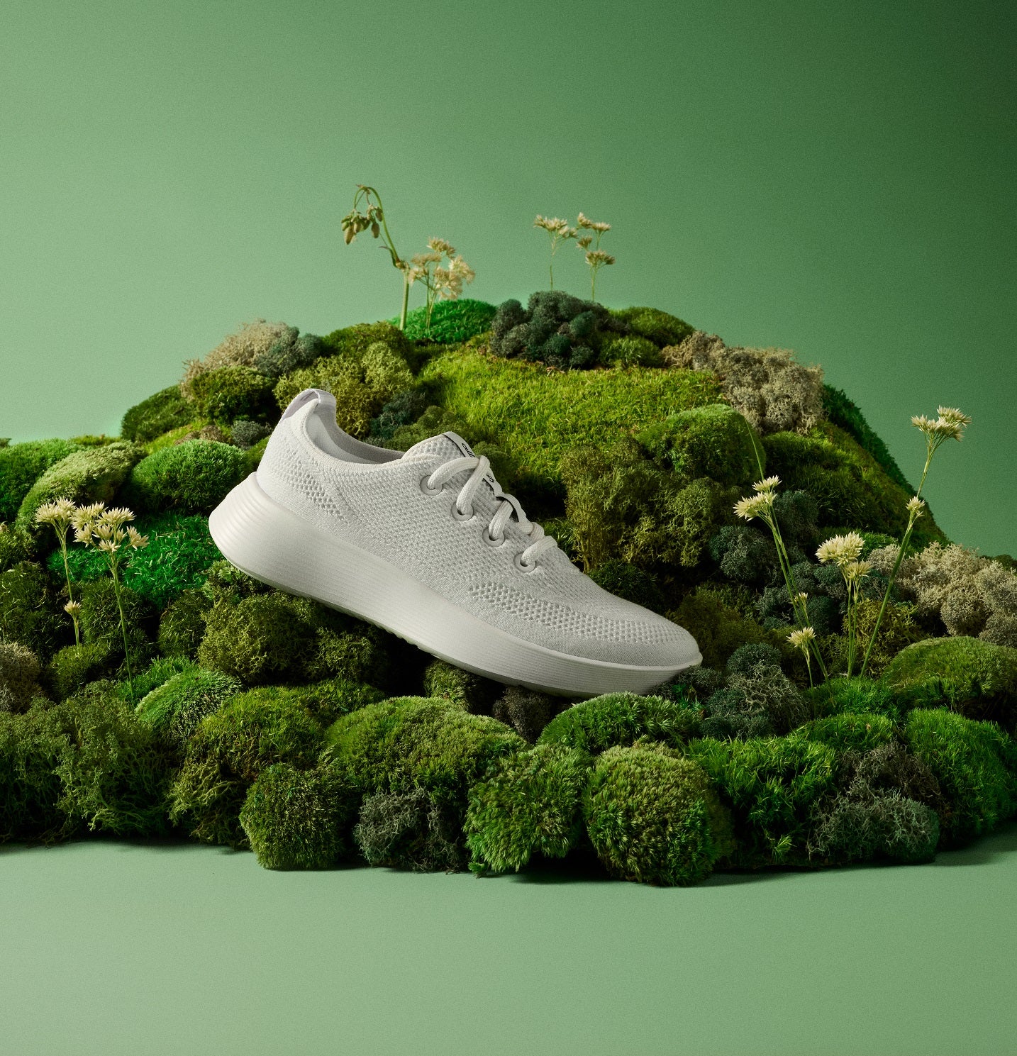 Sustainable Women's Shoes | Everyday, Running, Hiking | Allbirds ...