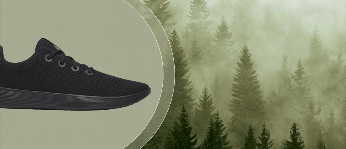 Allbirds Canada