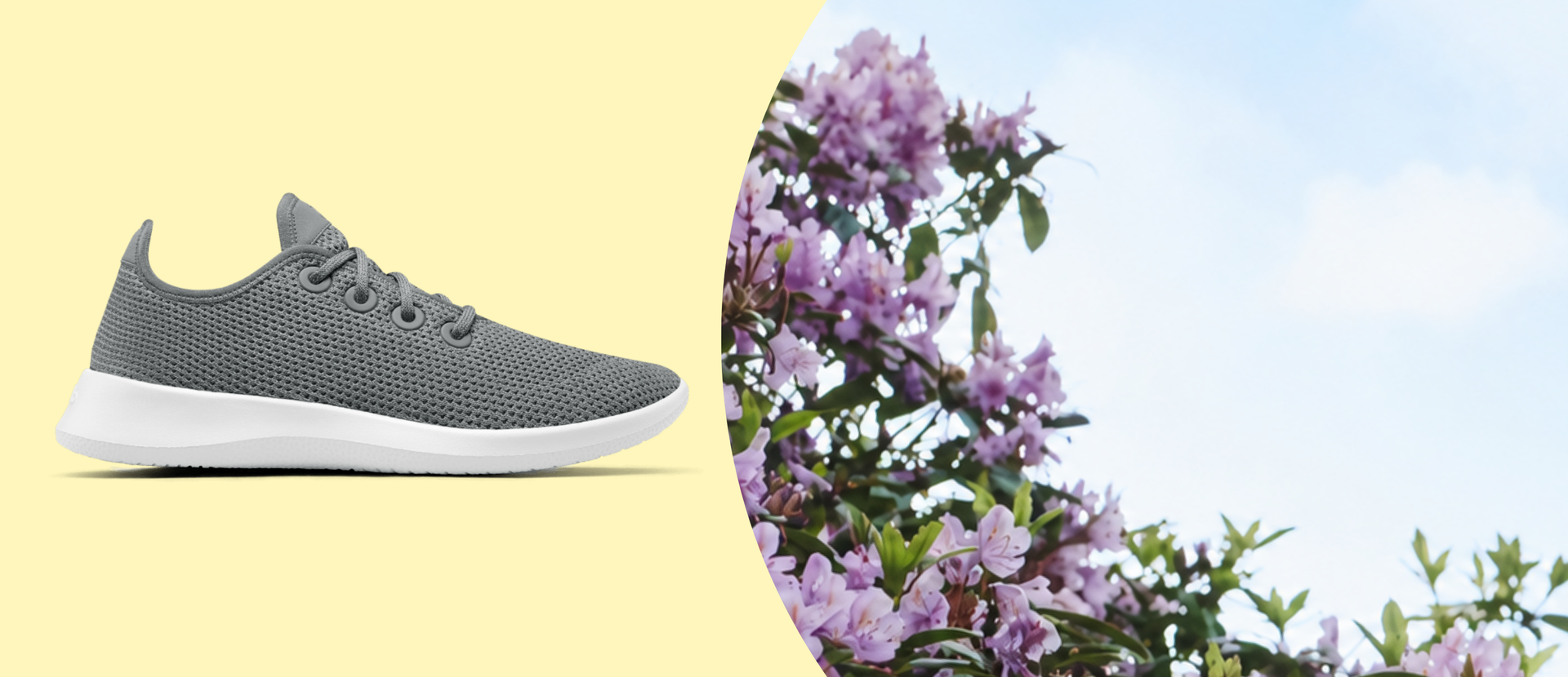 Allbirds Canada