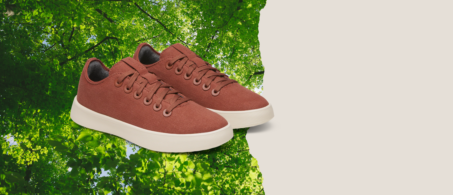 Allbirds Canada