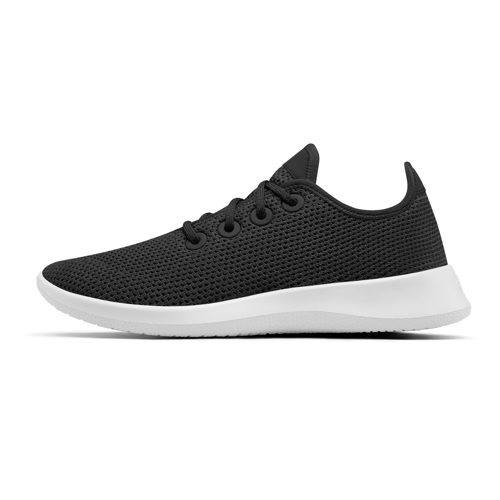 Shoes allbird 2025