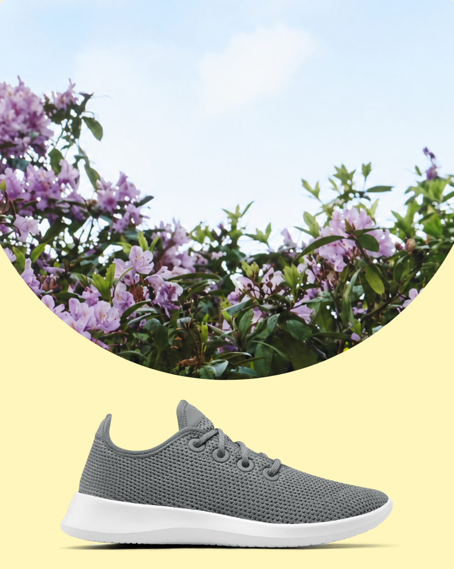 Allbirds Canada