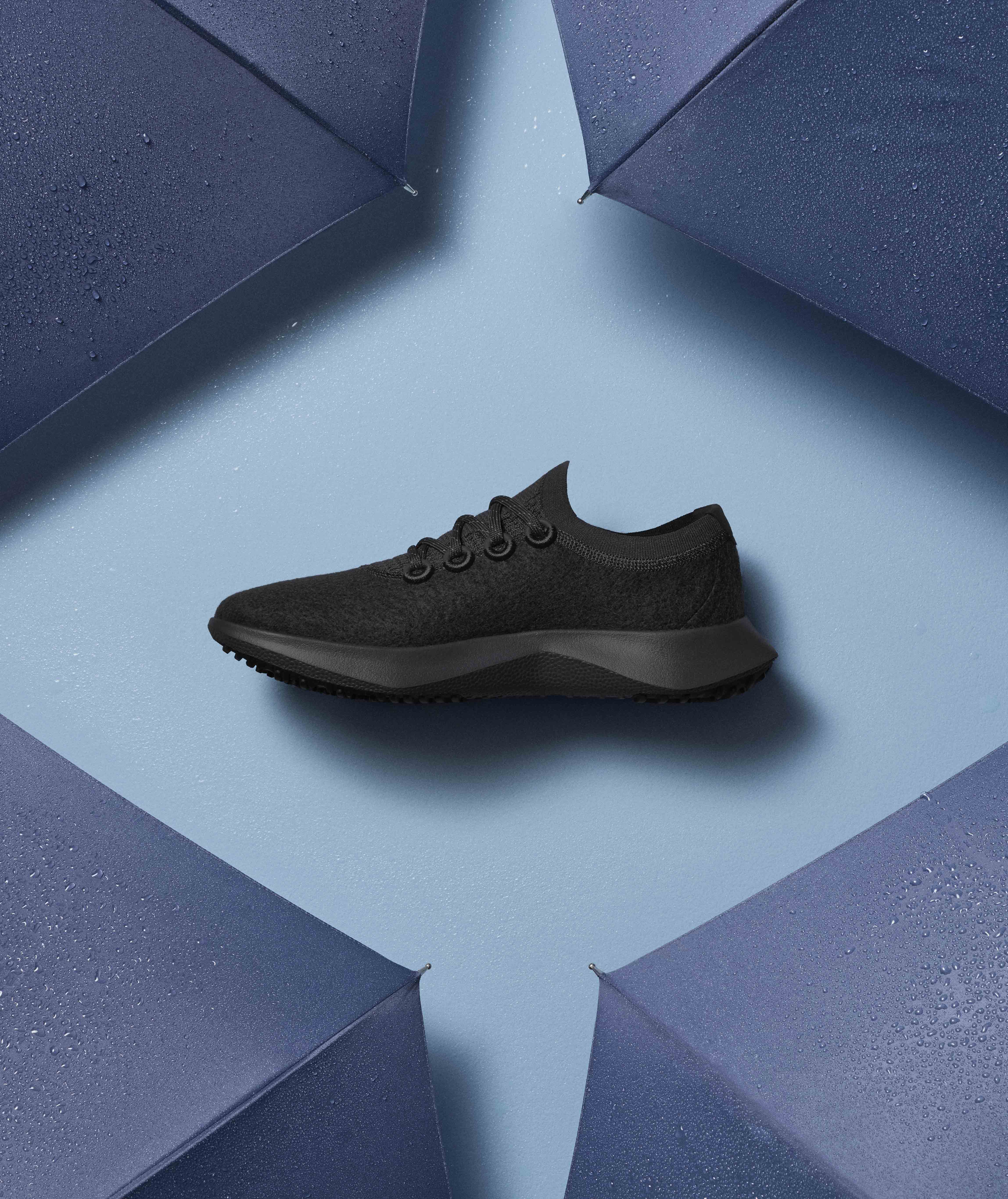 Allbirds shoes montreal best sale