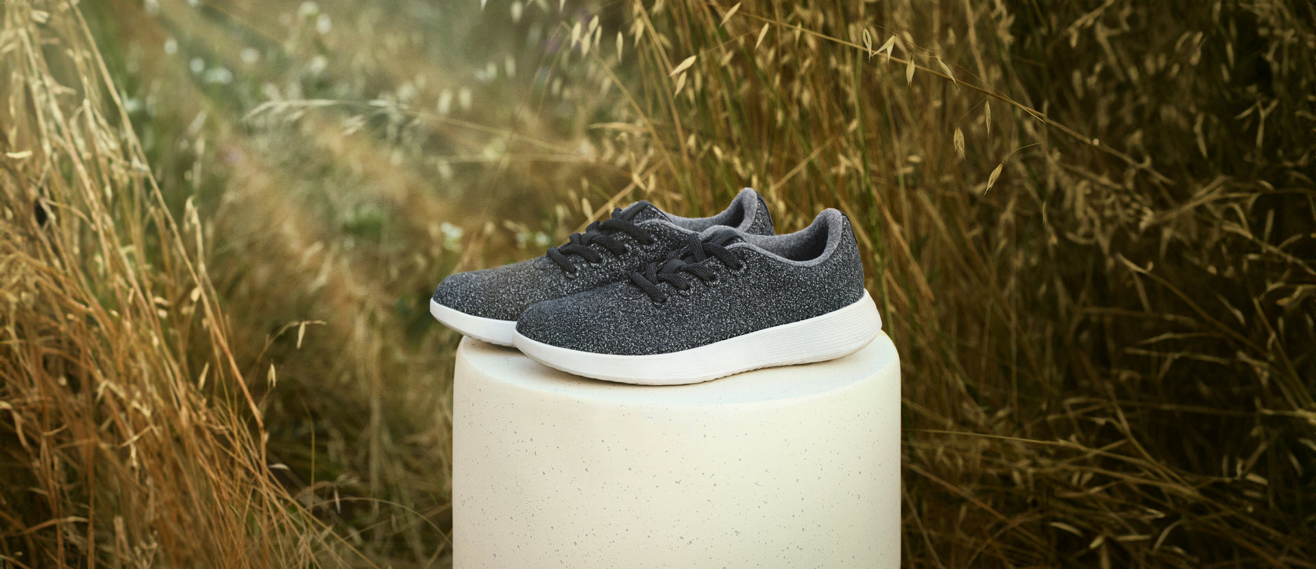 Allbirds Canada